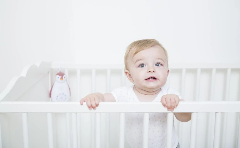 Zazu Zoe De Pinguin Grijs 3 In 1 Muziekdoosje ZA-ZOE-01 10 Zazu Zoe De Pinguin Grijs 3 In 1 Muziekdoosje ZA-ZOE-01 - Afbeelding 10