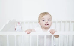 Zazu Zoe De Pinguin Roze 3 In 1 Muziekdoosje ZA-ZOE-03 23 Zazu Zoe De Pinguin Roze 3 In 1 Muziekdoosje ZA-ZOE-03 -Babyproducten 30685085644 974ee59458 o 2