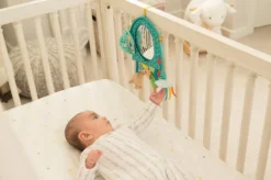 Infantino Elephant Autospiegel BK-316313 10 Infantino Elephant Autospiegel BK-316313 -Babyproducten infantino elephant autospiegel bk 316313 2