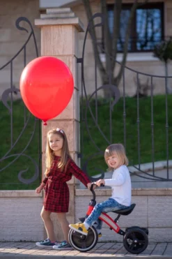 Lorelli Dallas Red Driewieler 1005050-004 22 Lorelli Dallas Red Driewieler 1005050-004 -Babyproducten lorelli dallas driewieler 11