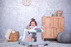 Lorelli Rider Pink & Grey 2-in-1 Loopstoeltje 1012039-0002 -Babyproducten lorelli rider grey white 2 in 1 loopstoeltje 1012039 0001 6 1 2