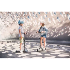 Scoot And Ride Ash Highwaykick 5 Step SR-96440 -Babyproducten scoot and ride ash highwaykick 5 step sr 96440 sfeer